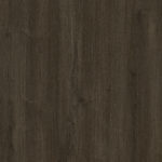 Dąb Carpenter Coffe