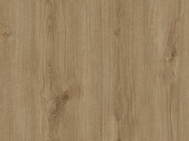 Dąb Carpenter jasny